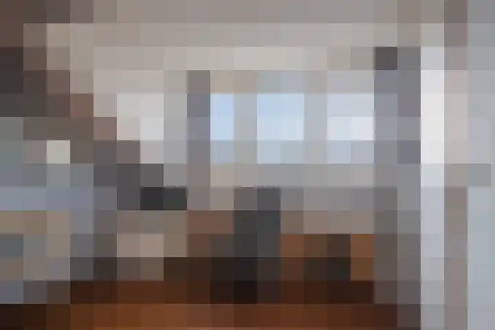 Zadelmakerstraat 66 Duiven thumbnail 34