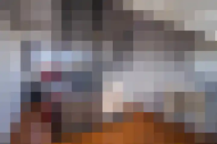 Zadelmakerstraat 66 Duiven thumbnail 35