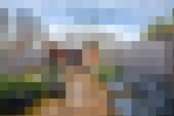 Zadelmakerstraat 66 Duiven thumbnail 4