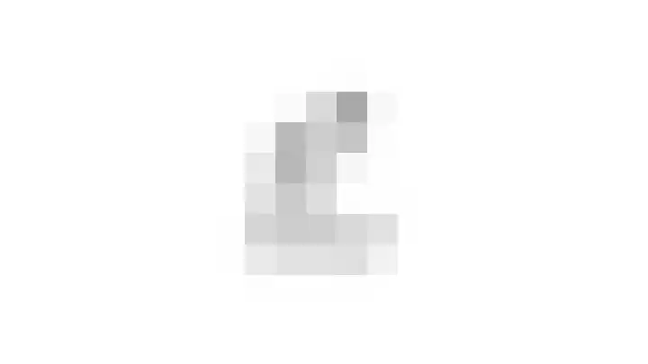 Zadelmakerstraat 66 Duiven thumbnail 47