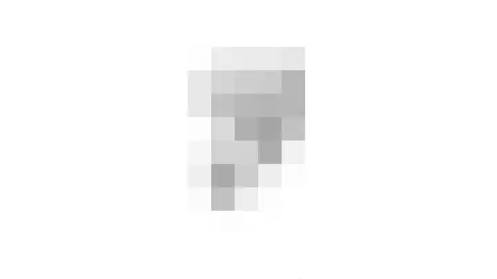 Zadelmakerstraat 66 Duiven thumbnail 48