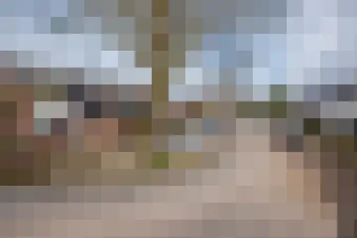 Zadelmakerstraat 66 Duiven thumbnail 5