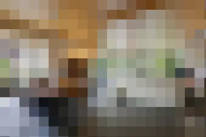 Zadelmakerstraat 68 Duiven thumbnail 10