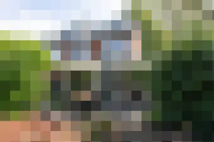 Zadelmakerstraat 68 Duiven thumbnail 46