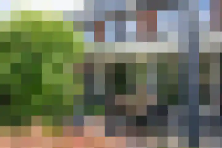 Zadelmakerstraat 68 Duiven thumbnail 47