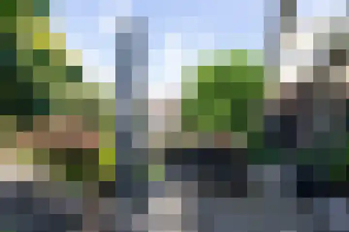 Zadelmakerstraat 68 Duiven thumbnail 49