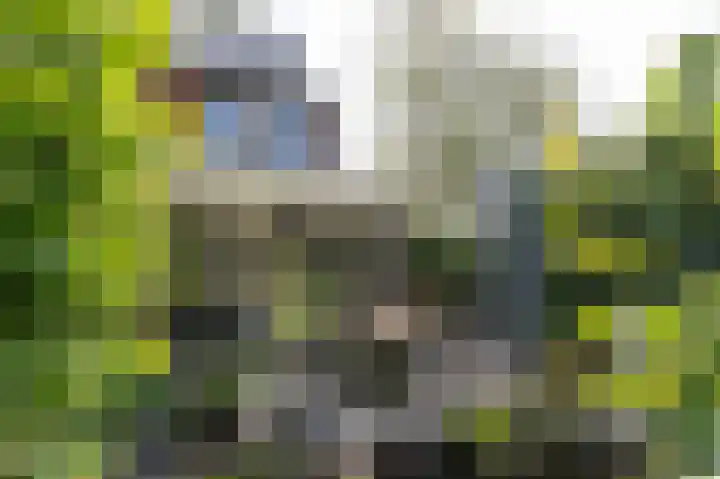Zadelmakerstraat 68 Duiven thumbnail 51