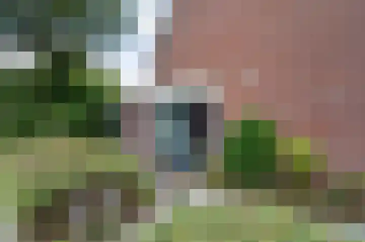 Zadelmakerstraat 68 Duiven thumbnail 6