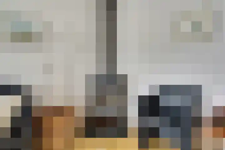 Zadelmakerstraat 71 Duiven thumbnail 19