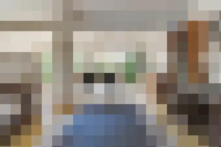 Zadelmakerstraat 71 Duiven thumbnail 22