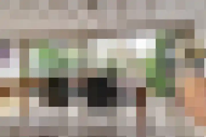 Zadelmakerstraat 71 Duiven thumbnail 23
