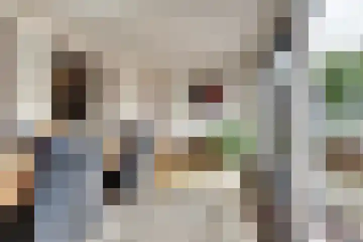 Zadelmakerstraat 71 Duiven thumbnail 29