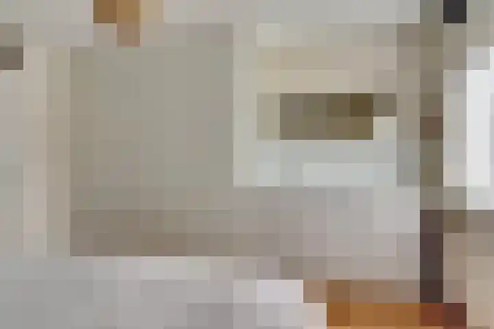 Zadelmakerstraat 71 Duiven thumbnail 43