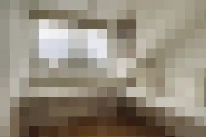 Zadelmakerstraat 71 Duiven thumbnail 53