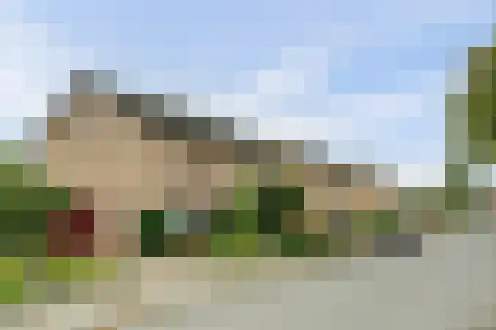 Zadelmakerstraat 71 Duiven thumbnail 6