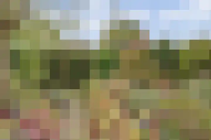 Zadelmakerstraat 71 Duiven thumbnail 67