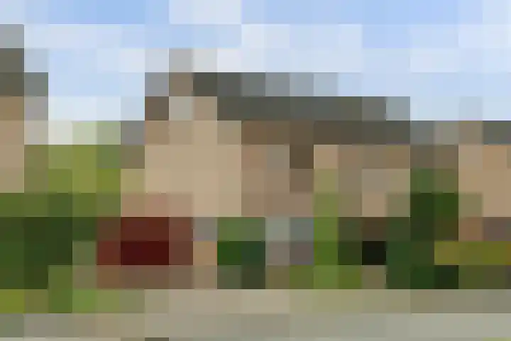 Zadelmakerstraat 71 Duiven thumbnail 7
