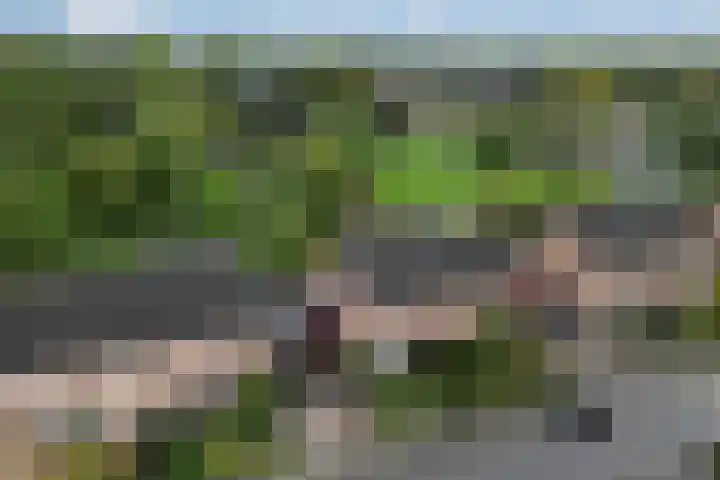 Zadelmakerstraat 71 Duiven thumbnail 72