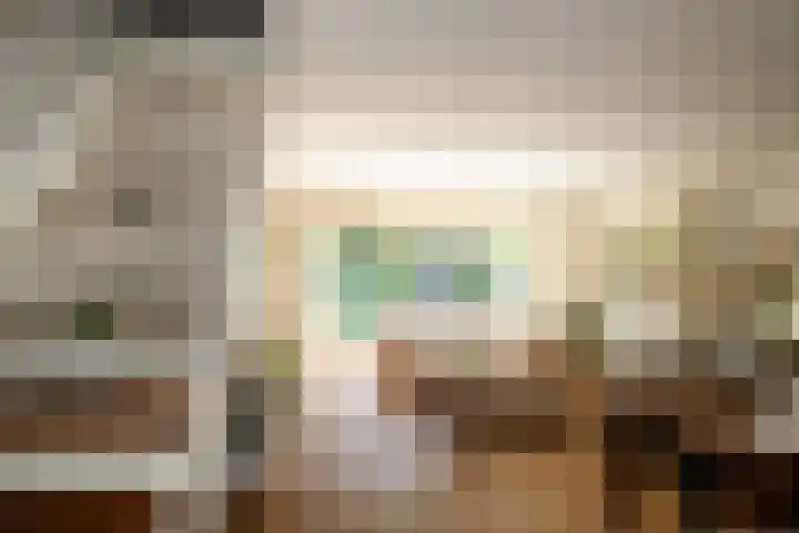 Zadelrob 2 Huizen thumbnail 11