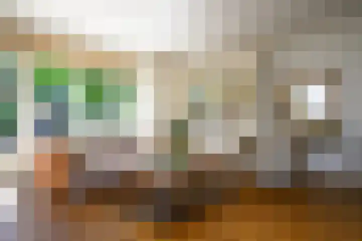 Zadelrob 2 Huizen thumbnail 13