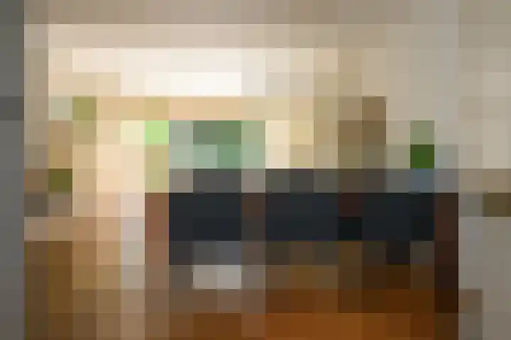 Zadelrob 2 Huizen thumbnail 16