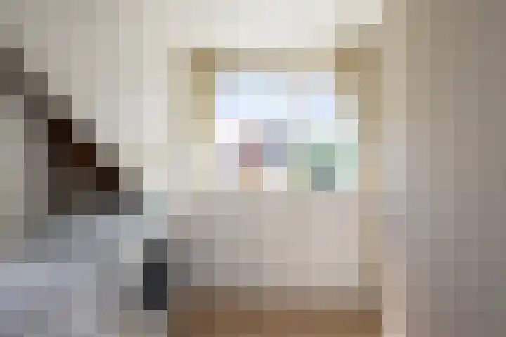 Zadelrob 2 Huizen thumbnail 39