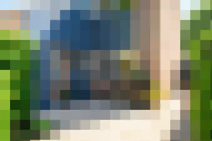 Zadelrob 2 Huizen thumbnail 4
