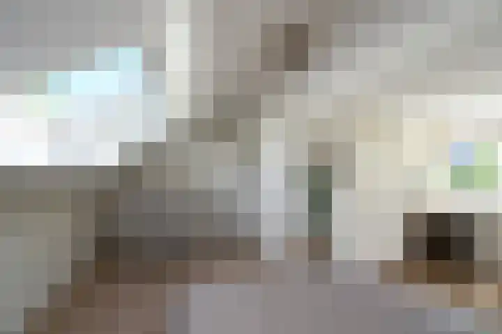 Zadelrob 2 Huizen thumbnail 41