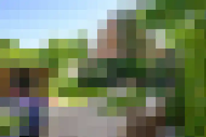 Zadelrob 2 Huizen thumbnail 46