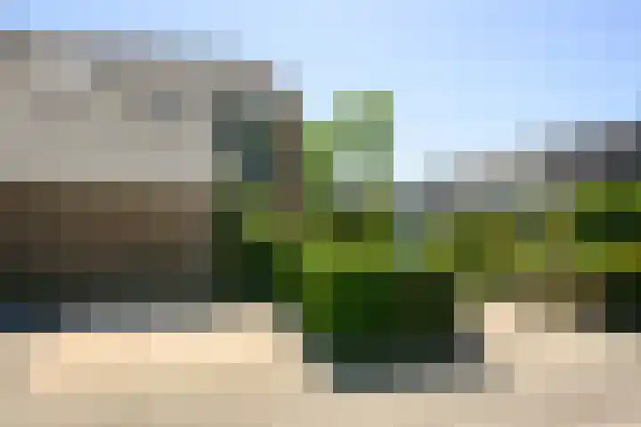 Zadelrob 2 Huizen thumbnail 48