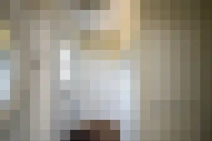 Zadelrob 2 Huizen thumbnail 6