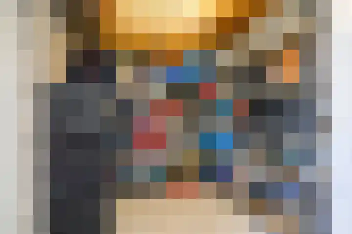 Zadelrob 2 Huizen thumbnail 8