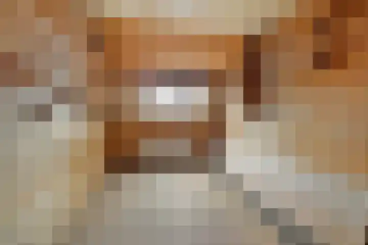 Zadelstraat 22 Hilversum thumbnail 13