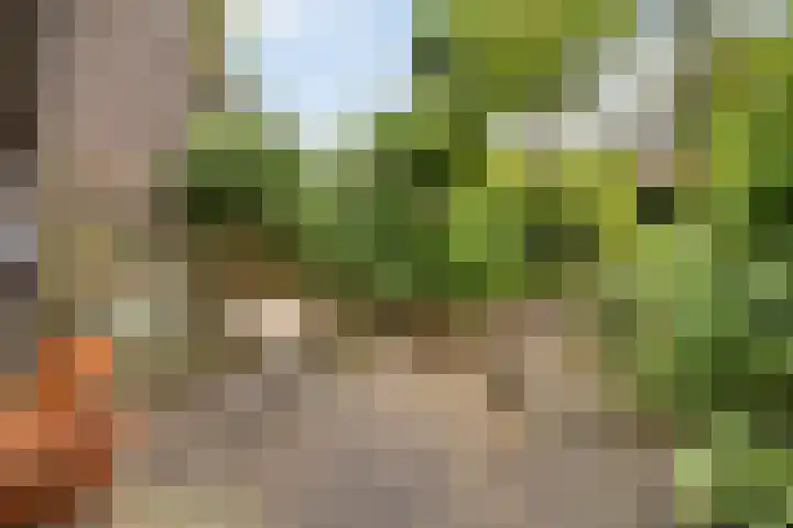 Zadelstraat 22 Hilversum thumbnail 16