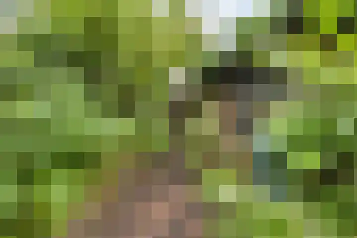 Zadelstraat 22 Hilversum thumbnail 18