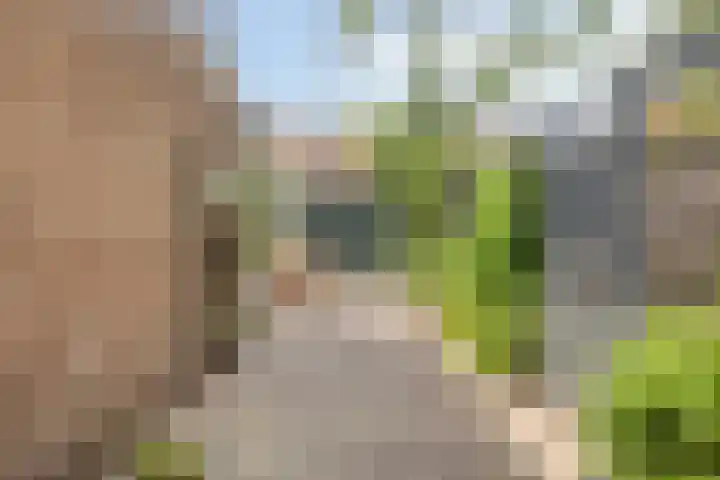 Zadelstraat 27 Hilversum thumbnail 23