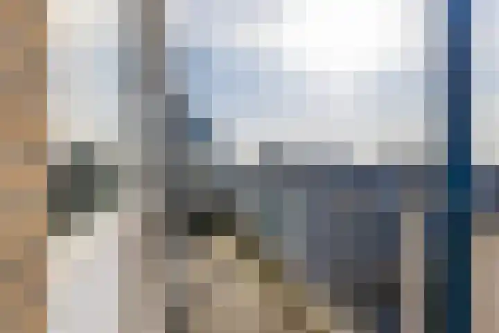 Zadkinerade 106 Capelle aan den IJssel thumbnail 10