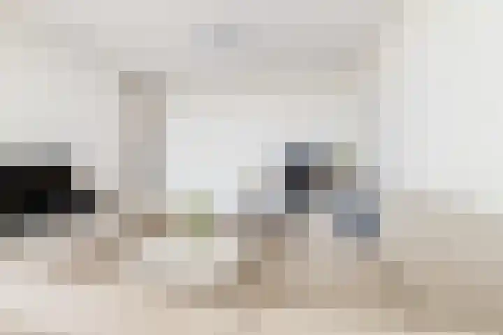 Zadkinerade 106 Capelle aan den IJssel thumbnail 13