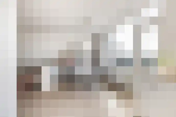 Zadkinerade 106 Capelle aan den IJssel thumbnail 14