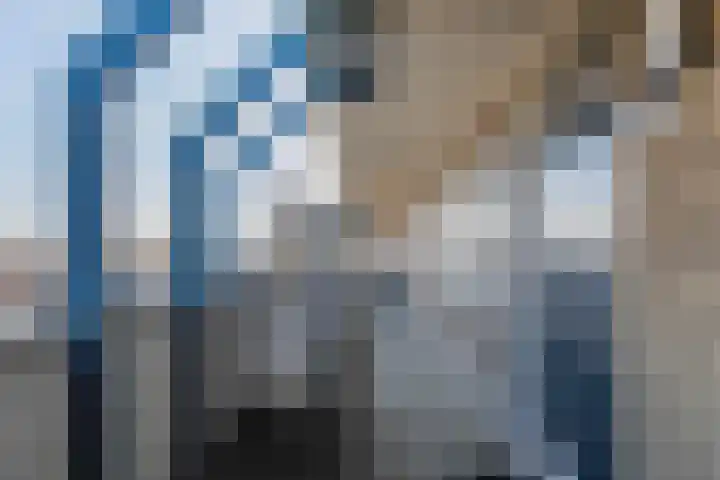 Zadkinerade 106 Capelle aan den IJssel thumbnail 25