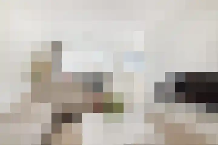 Zadkinerade 106 Capelle aan den IJssel thumbnail 5