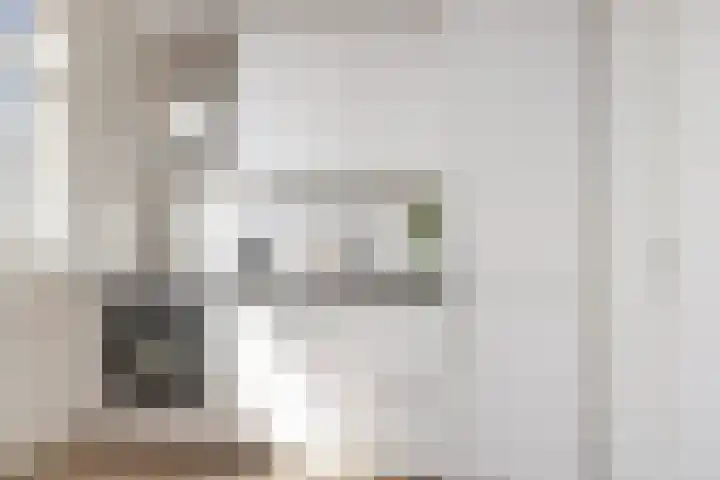 Zadkinerade 106 Capelle aan den IJssel thumbnail 6