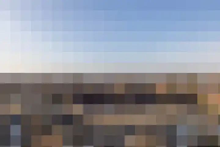 Zadkinerade 106 Capelle aan den IJssel thumbnail 9