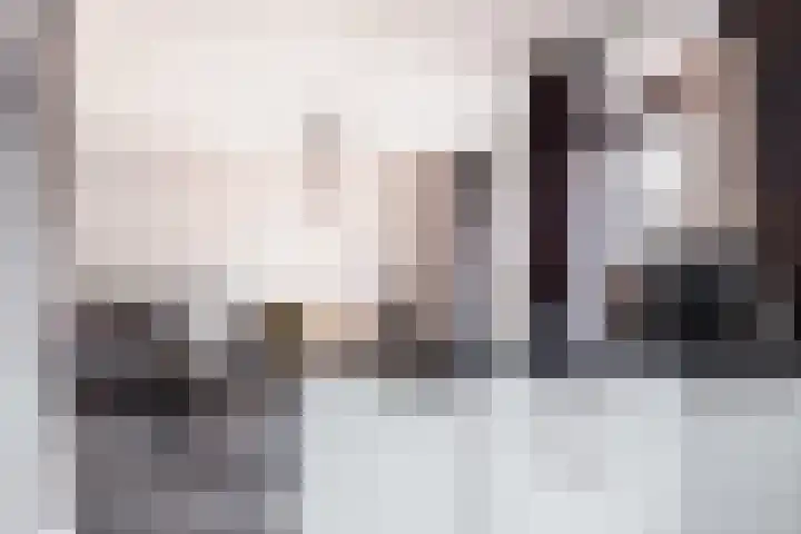 Zadkinerade 11 Capelle aan den IJssel thumbnail 11