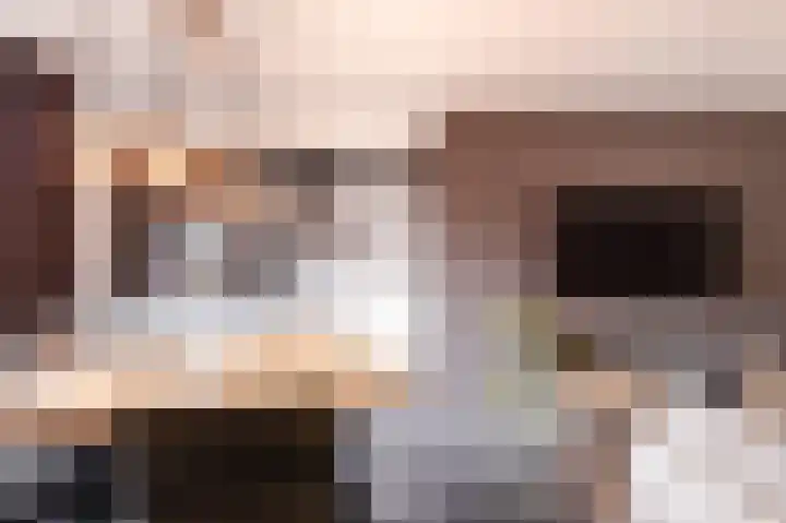 Zadkinerade 11 Capelle aan den IJssel thumbnail 12