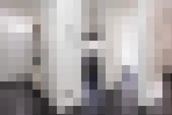 Zadkinerade 11 Capelle aan den IJssel thumbnail 17