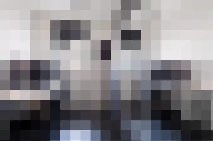 Zadkinerade 11 Capelle aan den IJssel thumbnail 21