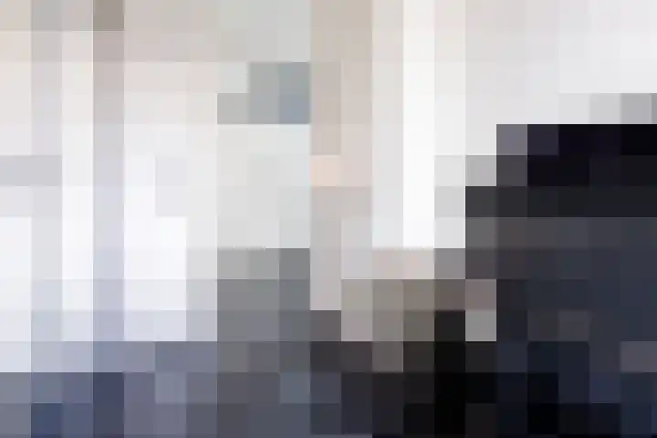 Zadkinerade 11 Capelle aan den IJssel thumbnail 22