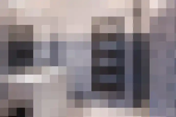 Zadkinerade 11 Capelle aan den IJssel thumbnail 23