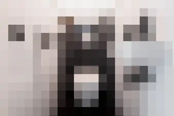 Zadkinerade 11 Capelle aan den IJssel thumbnail 25